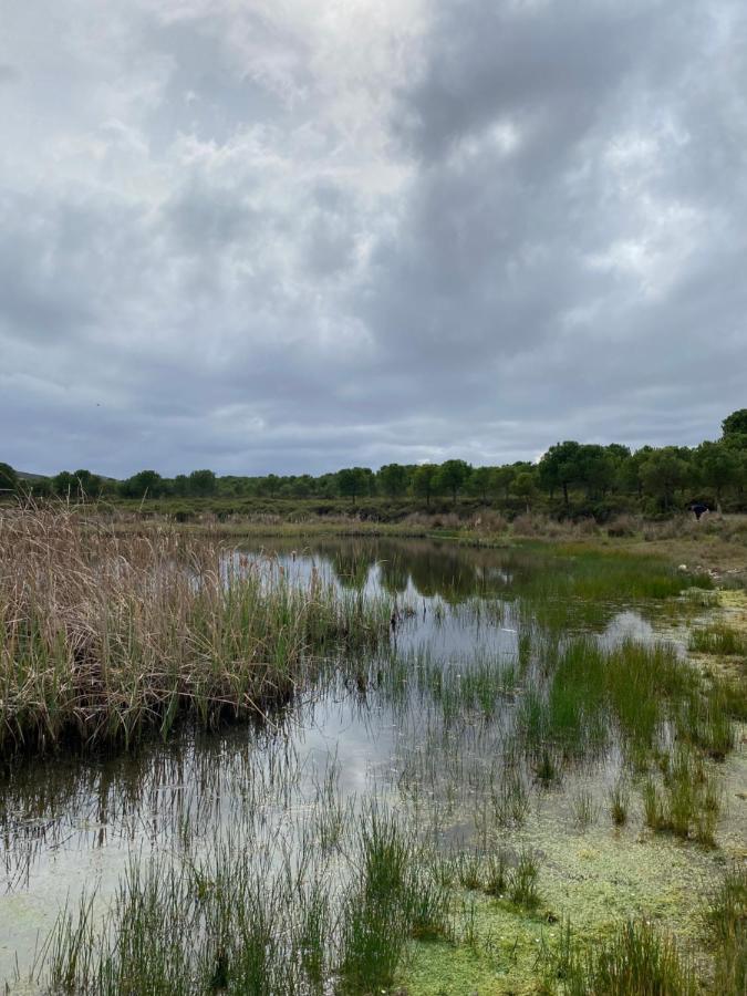 Herdade De Alagaes Mértola Esterno foto